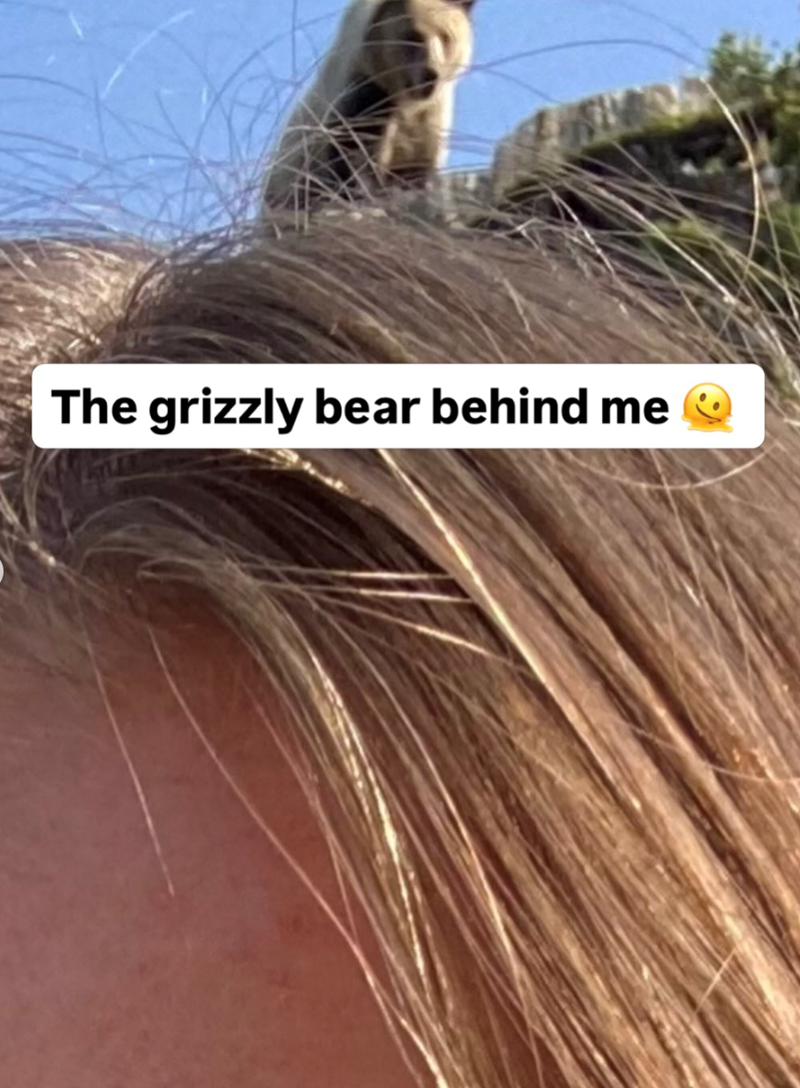 The grizzly bear behind me