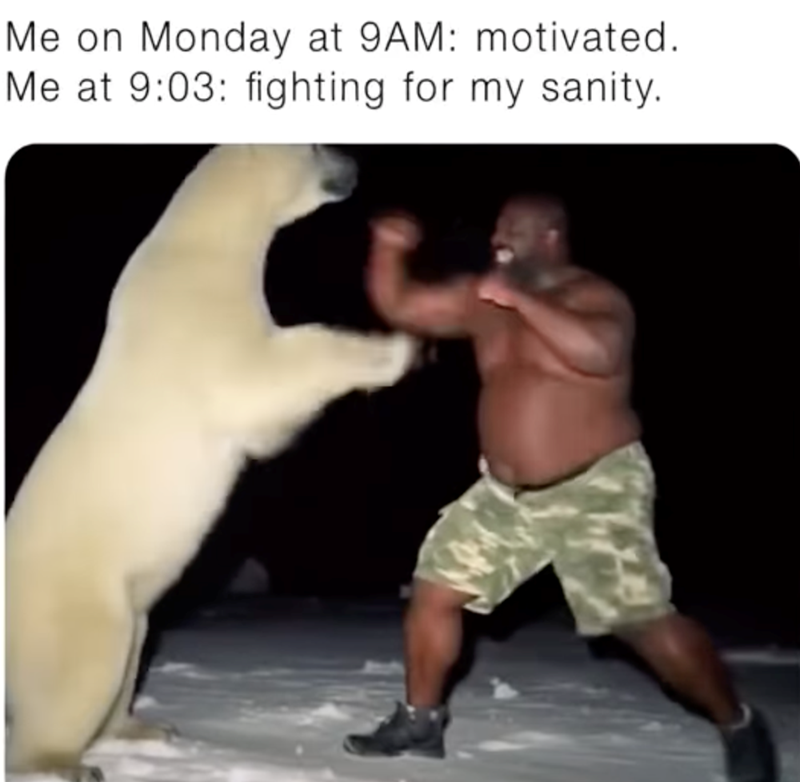 Me on Monday at 9AM: motivated. Me at 9:03: fighting for my sanity.