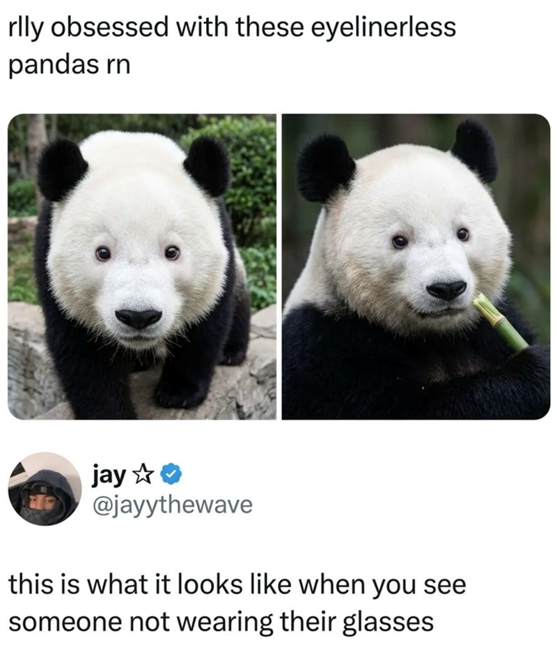 rlly obsessed with these eyelinerless pandas rn jay ✰❤ @jayythewave this is what it looks like when you see someone not wearing their glasses