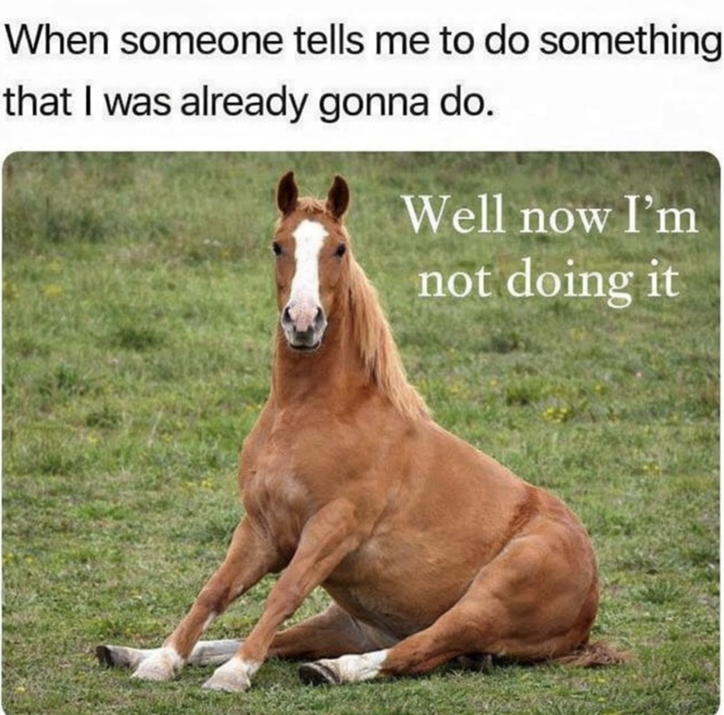 When someone tells me to do something that I was already gonna do. Well now I'm not doing it