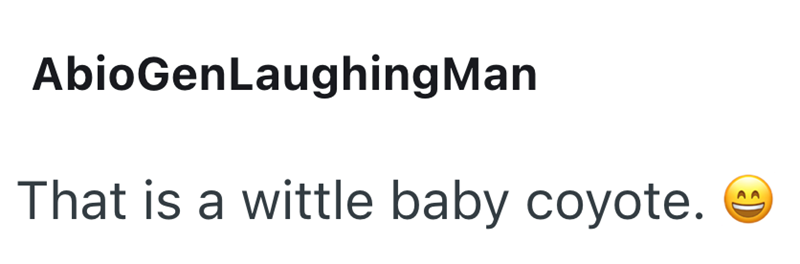 AbioGenLaughing Man That is a wittle baby coyote.