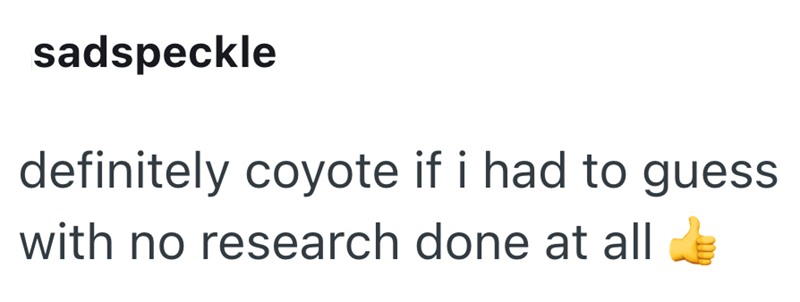 sadspeckle definitely coyote if i had to guess with no research done at all