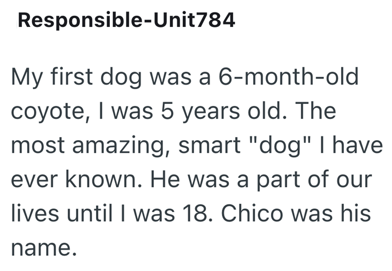Responsible-Unit 784 My first dog was a 6-month-old coyote, I was 5 years old. The most amazing, smart "dog" I have ever known. He was a part of our lives until I was 18. Chico was his name.