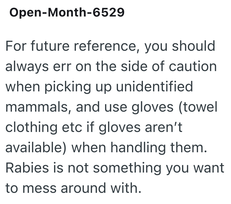 Open-Month-6529 For future reference, you should always err on the side of caution when picking up unidentified mammals, and use gloves (towel clothing etc if gloves aren't available) when handling them. Rabies is not something you want to mess around with.