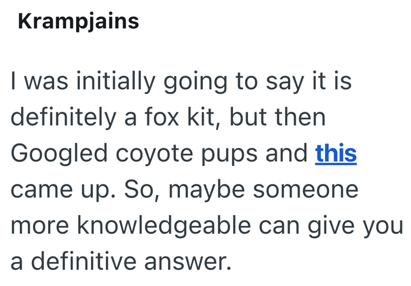 Krampjains I was initially going to say it is definitely a fox kit, but then Googled coyote pups and this came up. So, maybe someone more knowledgeable can give you a definitive answer.