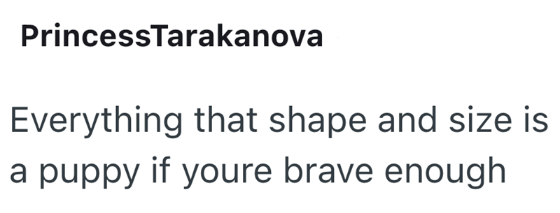 PrincessTarakanova Everything that shape and size is a puppy if youre brave enough