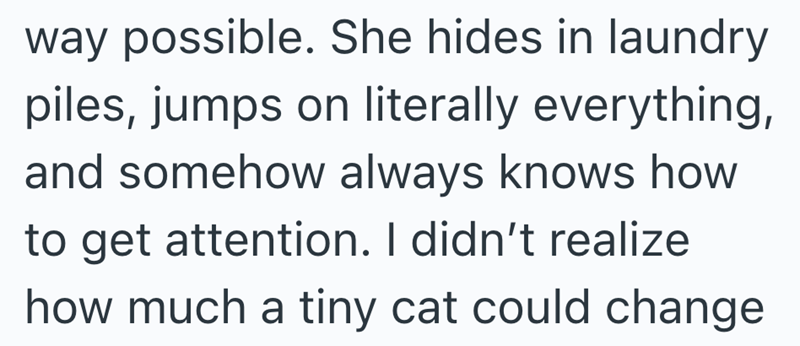 way possible. She hides in laundry piles, jumps on literally everything, and somehow always knows how to get attention. I didn't realize how much a tiny cat could change