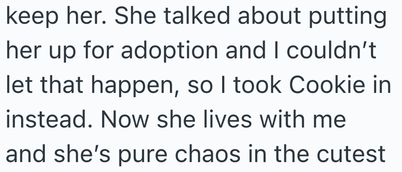 keep her. She talked about putting her up for adoption and I couldn't let that happen, so I took Cookie in instead. Now she lives with me and she's pure chaos in the cutest