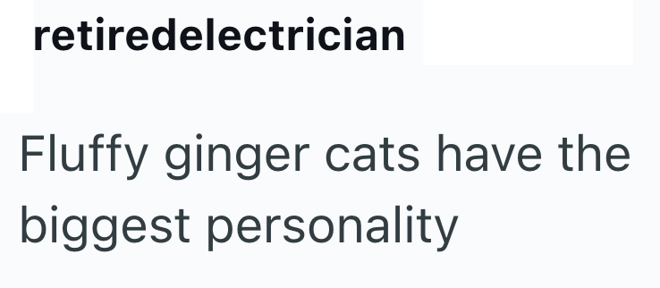 retiredelectrician Fluffy ginger cats have the biggest personality