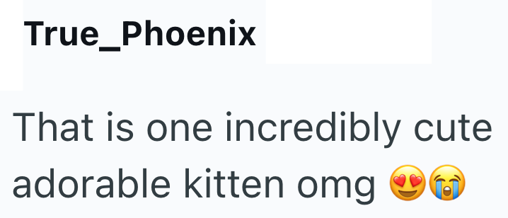True_Phoenix That is one incredibly cute adorable kitten omg