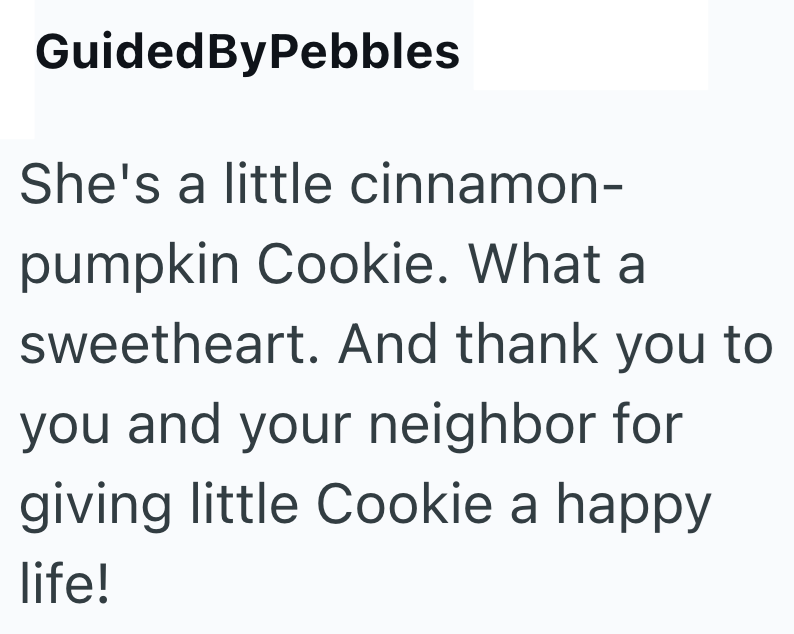GuidedByPebbles She's a little cinnamon- pumpkin Cookie. What a sweetheart. And thank you to you and your neighbor for giving little Cookie a happy life!