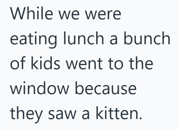 While we were eating lunch a bunch of kids went to the window because they saw a kitten.