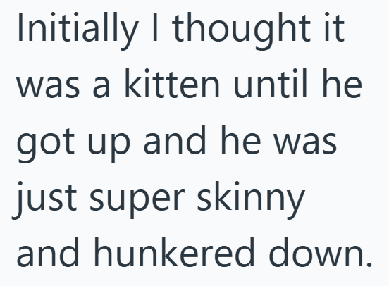 Initially I thought it was a kitten until he got up and he was just super skinny and hunkered down.