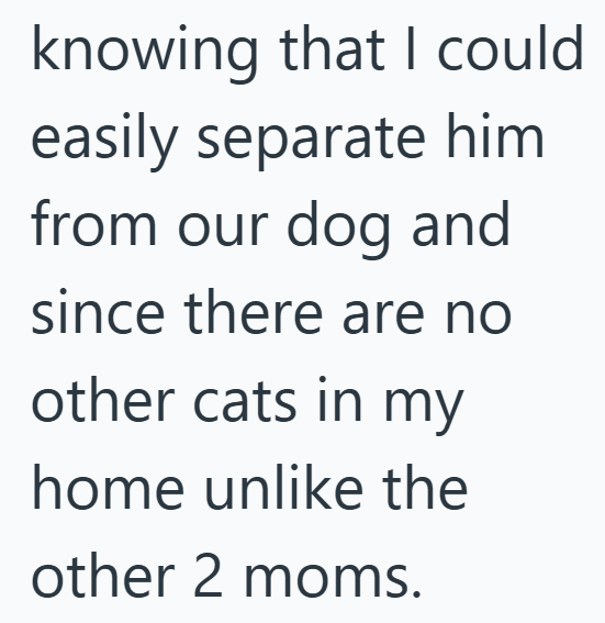 knowing that I could easily separate him from our dog and since there are no other cats in my home unlike the other 2 moms.