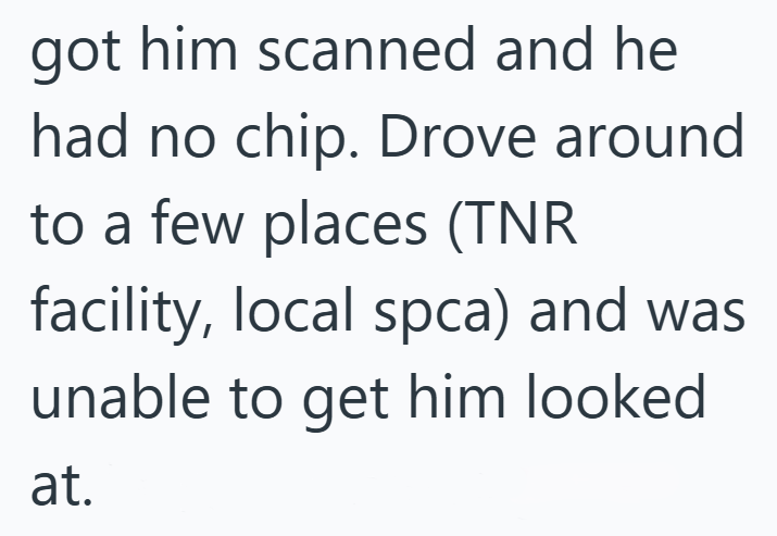 got him scanned and he had no chip. Drove around to a few places (TNR facility, local spca) and was unable to get him looked at.