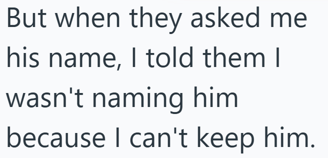 But when they asked me his name, I told them I wasn't naming him because I can't keep him.