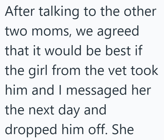After talking to the other two moms, we agreed that it would be best if the girl from the vet took him and I messaged her the next day and dropped him off. She