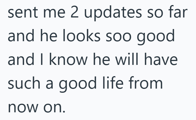 sent me 2 updates so far and he looks soo good and I know he will have such a good life from now on.