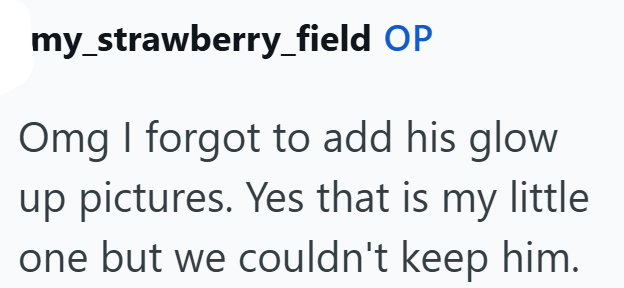my_strawberry_field OP Omg I forgot to add his glow up pictures. Yes that is my little one but we couldn't keep him.