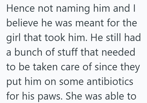 Hence not naming him and I believe he was meant for the girl that took him. He still had a bunch of stuff that needed to be taken care of since they put him on some antibiotics for his paws. She was able to