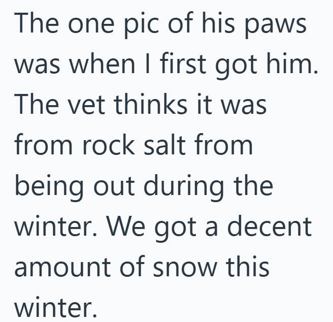 The one pic of his paws was when I first got him. The vet thinks it was from rock salt from being out during the winter. We got a decent amount of snow this winter.
