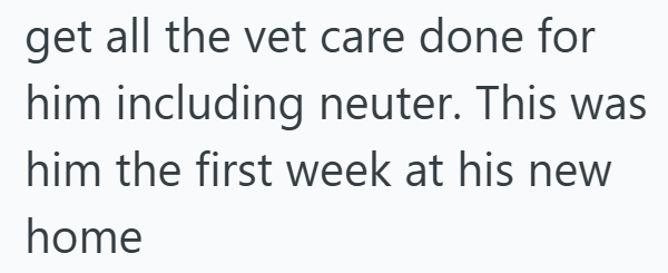 get all the vet care done for him including neuter. This was him the first week at his new home
