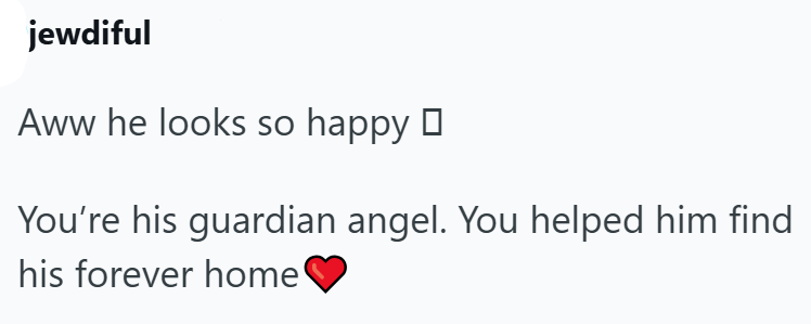 jewdiful Aww he looks so happy ☐ You're his guardian angel. You helped him find his forever home