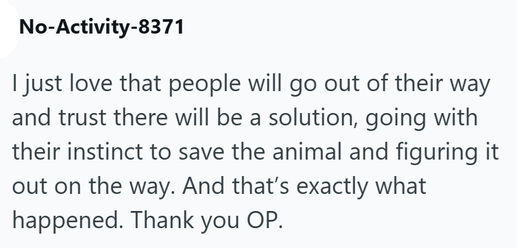 No-Activity-8371 I just love that people will go out of their way and trust there will be a solution, going with their instinct to save the animal and figuring it out on the way. And that's exactly what happened. Thank you OP.