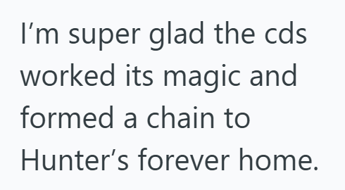 I'm super glad the cds worked its magic and formed a chain to Hunter's forever home.