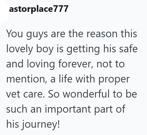 astorplace777 You guys are the reason this lovely boy is getting his safe and loving forever, not to mention, a life with proper vet care. So wonderful to be such an important part of his journey!