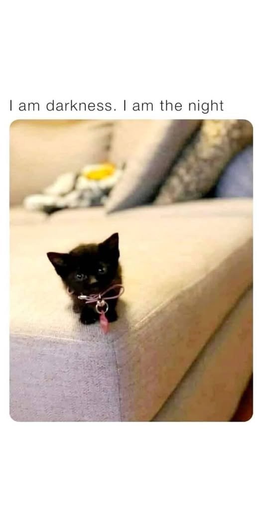 I am darkness. I am the night