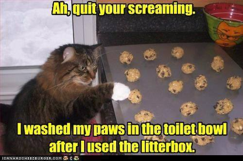 Ah,quit your screaming. I washed my paws in the toilet bowl after I used the litterbox. ICANHASCHEEZBURGER.COM