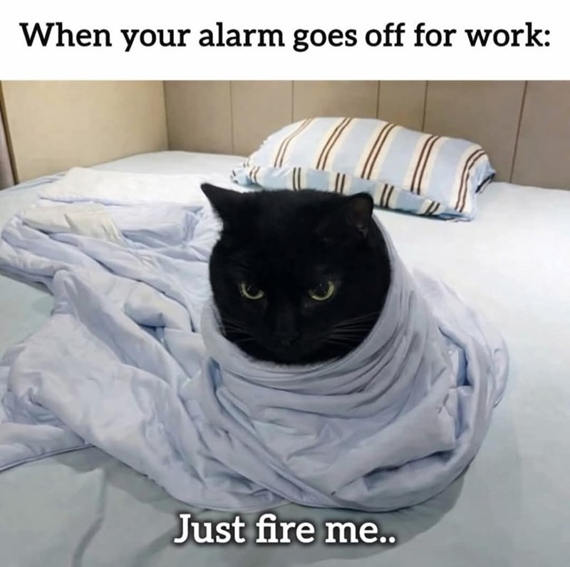 When your alarm goes off for work: Just fire me..