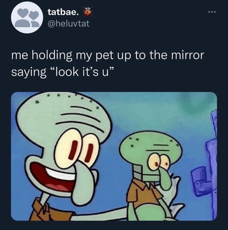 tatbae. @heluvtat me holding my pet up to the mirror saying "look it's u❞