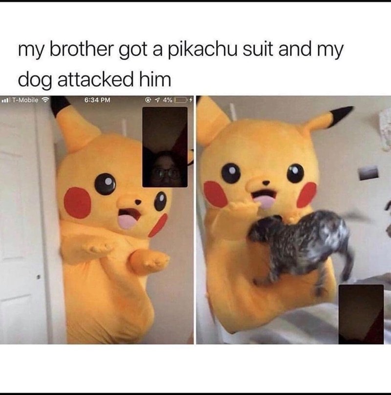my brother got a pikachu suit and my dog attacked him T-Mobile 6:34 PM @4%