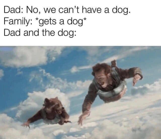 Dad: No, we can't have a dog. Family: *gets a dog* Dad and the dog: