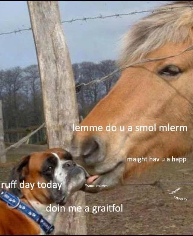 lemme do u a smol mlerm ruff day today *smol mlerm doin me a graitfol maight hav u a happ *clipppity *cloppity