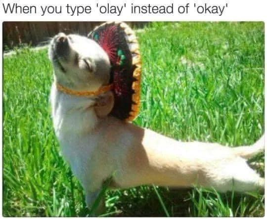 When you type 'olay' instead of 'okay'