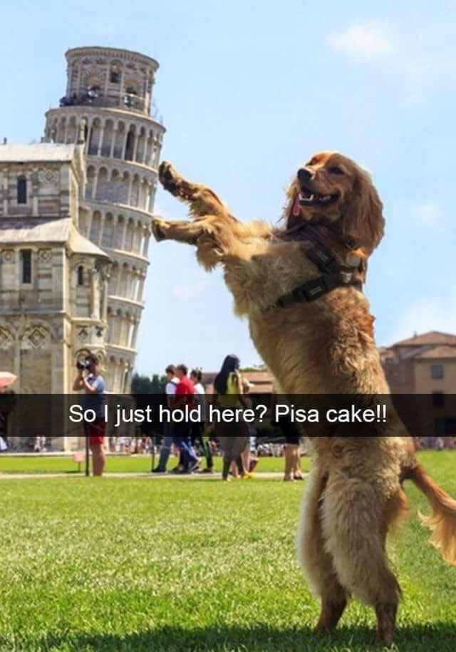 So I just hold here? Pisa cake!!