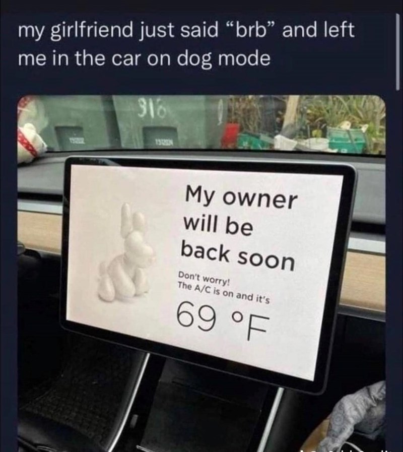 my girlfriend just said "brb" and left me in the car on dog mode 918 My owner will be back soon Don't worry! The A/C is on and it's 69 °F