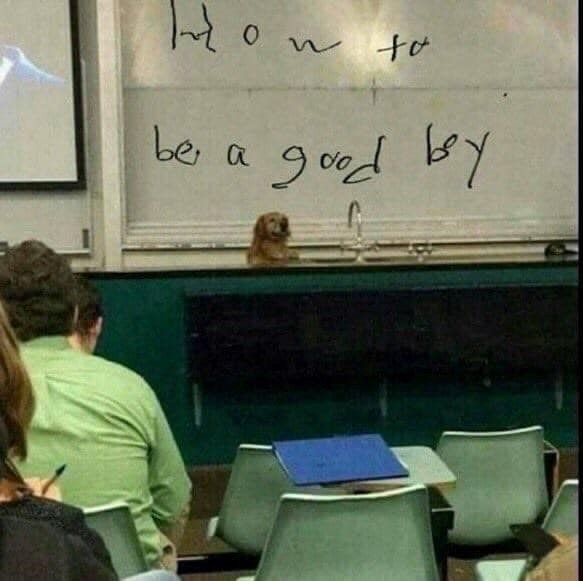 0 W to be a good by