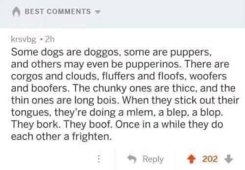BEST COMMENTS krsvbg 2h Some dogs are doggos, some are puppers, and others may even be pupperinos. There are corgos and clouds, fluffers and floofs, woofers and boofers. The chunky ones are thicc, and the thin ones are long bois. When they stick out their tongues, they're doing a mlem, a blep, a blop. They bork. They boof. Once in a while they do each other a frighten. Reply 202
