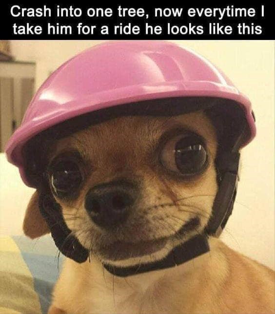 Crash into one tree, now everytime I take him for a ride he looks like this
