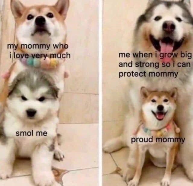 my mommy who i love very much me when i grow big and strong so i can protect mommy smol me proud mommy