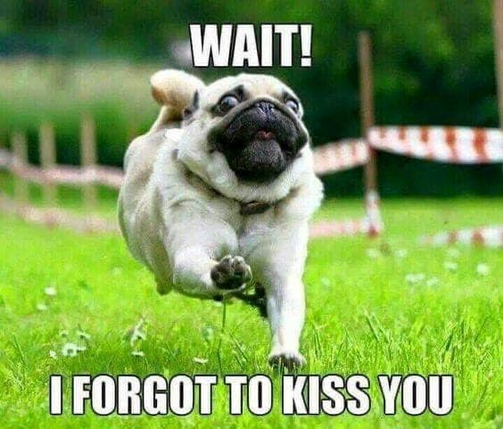 WAIT! I FORGOT TO KISS YOU