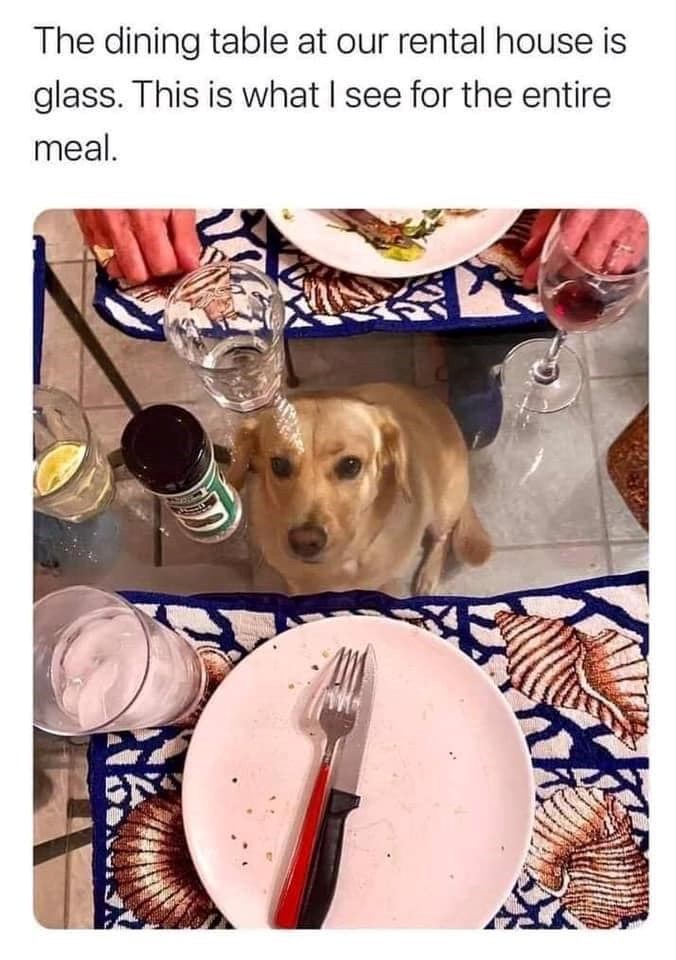 The dining table at our rental house is glass. This is what I see for the entire meal.