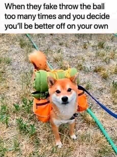 When they fake throw the ball too many times and you decide you'll be better off on your own