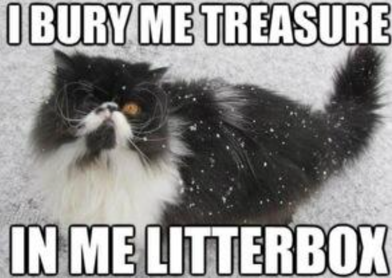 I BURY ME TREASURE IN ME LITTERBOX