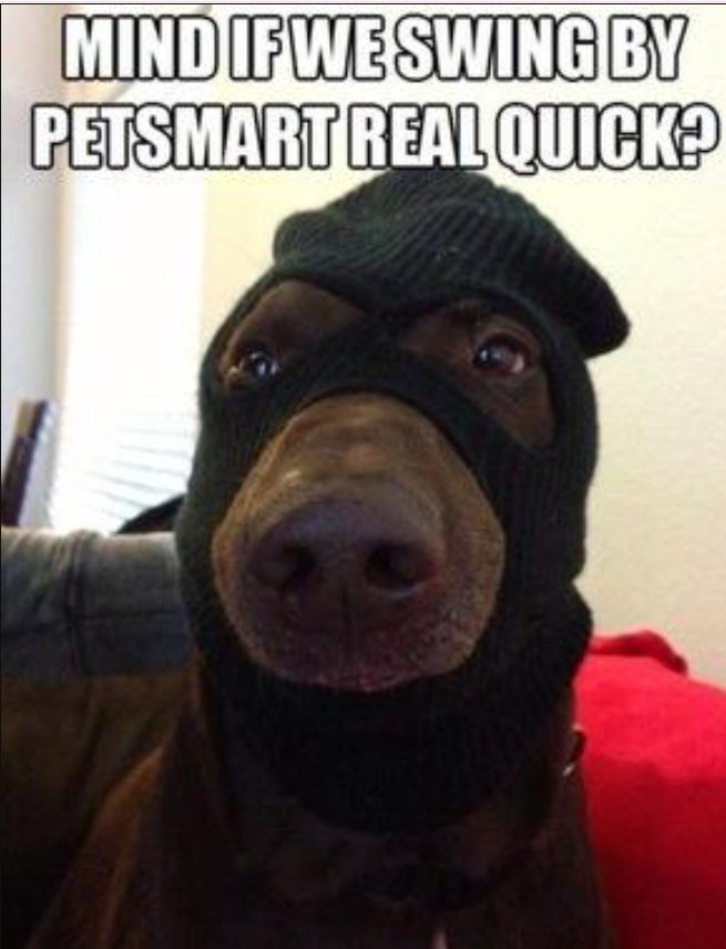 MIND IF WE SWING BY PETSMART REAL QUICK?