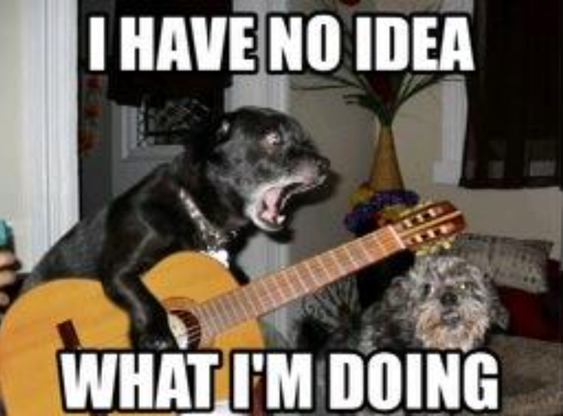 I HAVE NO IDEA WHAT I'M DOING